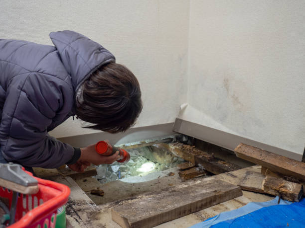Best Post-Construction Mold Inspection  in Northfield, NJ