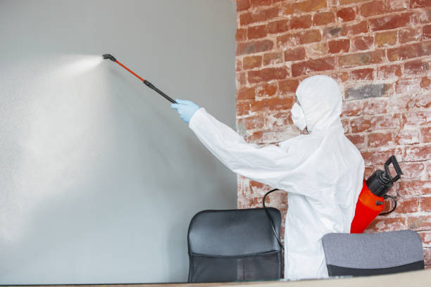Best Industrial Mold Remediation  in Northfield, NJ