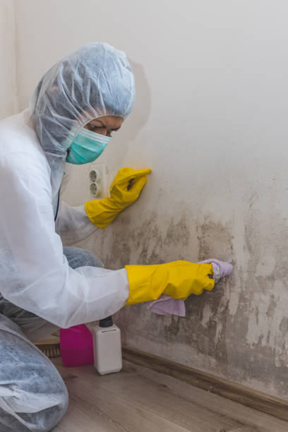 Forensic Mold Investigation in Northfield, NJ