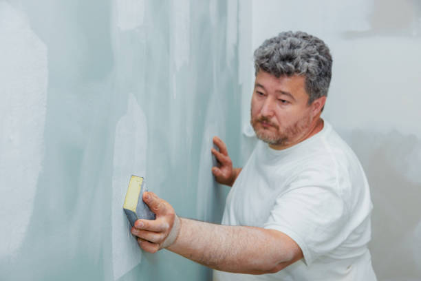 Best Basement Mold Removal  in Northfield, NJ