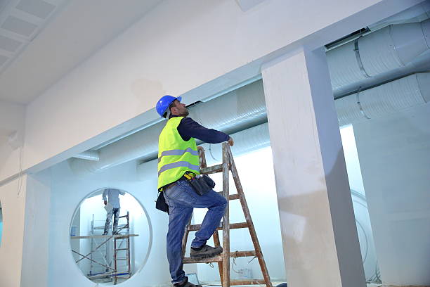 Northfield, NJ Mold Removal Company